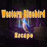 8bGames Western Bluebird Escape Walkthrough